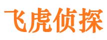 南汇市调查公司